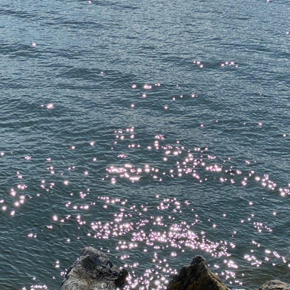 Meet your Posher, Michaela